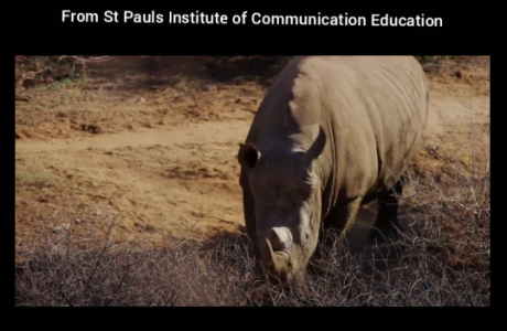 World Rhino Day course