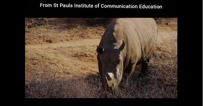World Rhino Day course